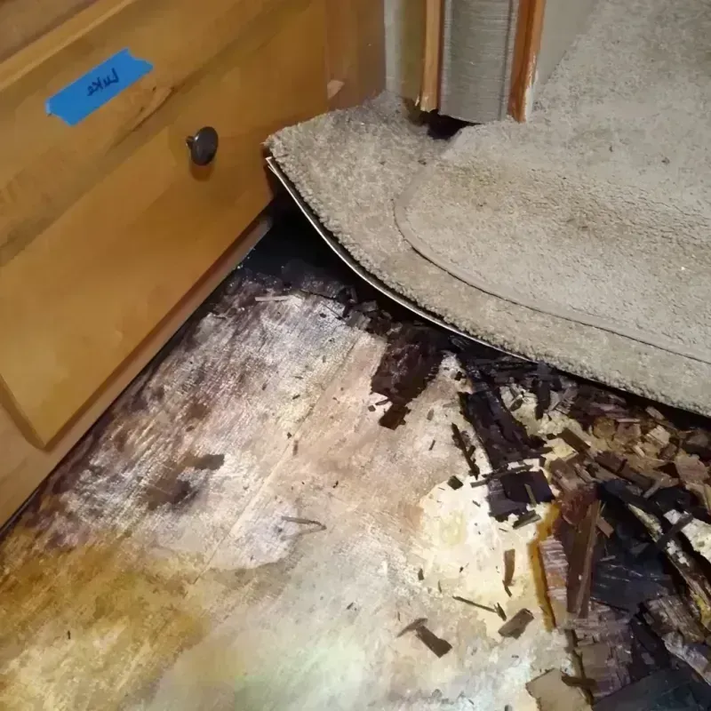 Best Wood Floor Water Damage Service in Evendale, OH